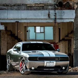 Meet your Posher, Pat